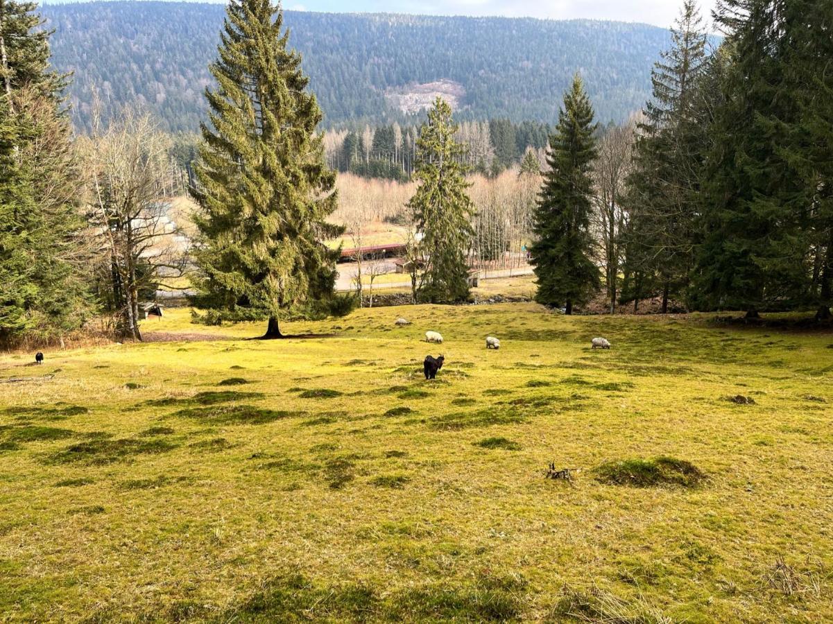 Ferme Des Jonquilles 15P - Billard, Ps4, Salle De Sport Gérardmer Dış mekan fotoğraf